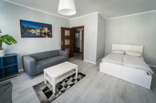 Silver Vision Apartment - Rynek Ополе Экстерьер фото